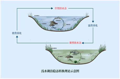 我國(guó)水生態(tài)環(huán)境修復(fù)現(xiàn)狀分析解讀(上)- 我國(guó)水生態(tài)環(huán)境修復(fù)現(xiàn)狀分析解讀(上)-