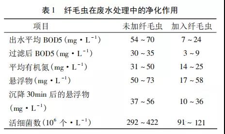 活性污泥中毒的原因及控制調節-